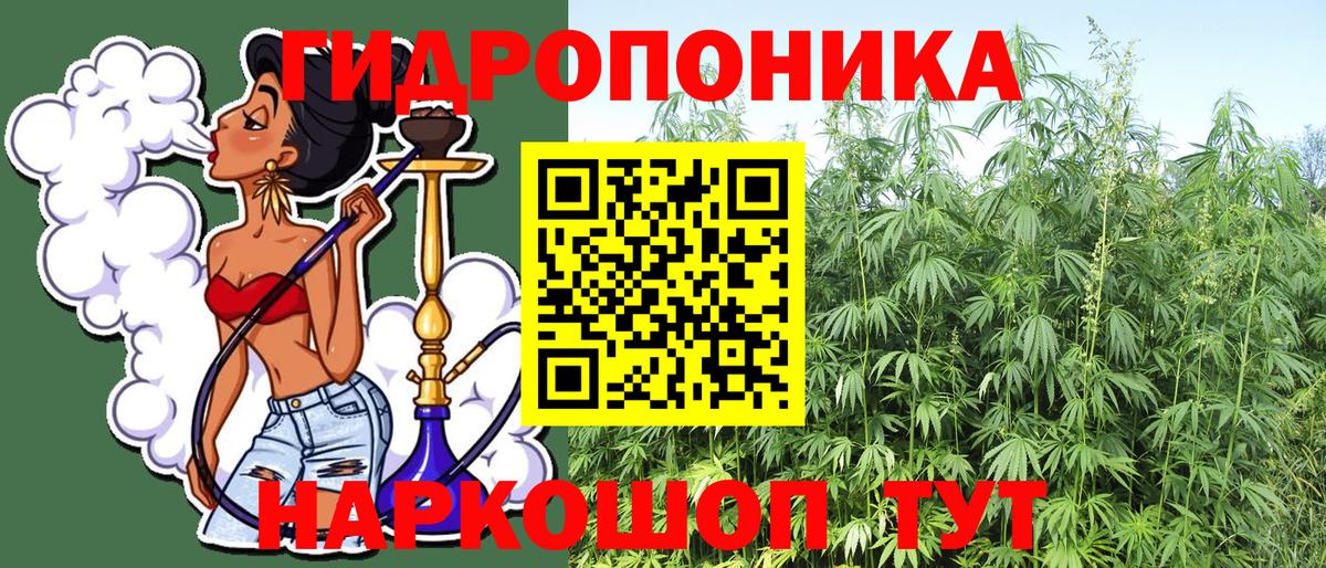 Краснодар  Бошки Шишки индика  Каннабис план  Марихуана марихуана  Шишки марихуана гибрид  Вход с VPN 